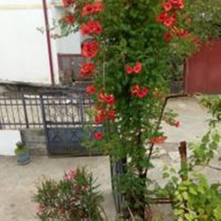 Guest House Quiet Home Batumi Exterior foto